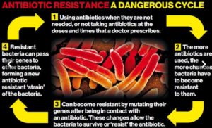AntibioticsResistanceCycle