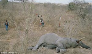 5628511 20170710175039 jpege92b2f930c850cda74b3e83cb7996088