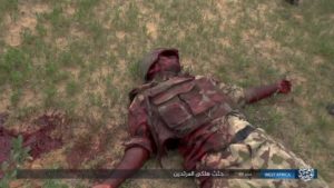 BREAKING!!! B/Haram Ambushes Nig Army Convoy, Executes All Soldiers (Over 30 Dead) Graphic Photos 7 17 1 917x516