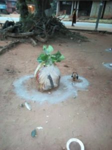 SHOCKING!! Anambra Election: "Vote & Die" Charms, Juju Spotted At A Pooling Unit (Photos) 2 6274627 juju2 jpg7d6fdf378cc875a92c0d32e9f66c794f