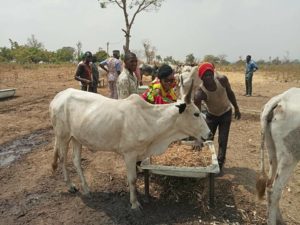 Fulani Herdsmen Are Peaceful People, Igbo Lady Says As She Pays Them A Visit & This Happened (Photos) 2 6676344 zulani jpg65f08a4288ccae20d3ea0c6205162910