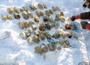 Shocking!! 54 Severed Hands Discovered In A Bag(Photos) 3 6801560 20180308194018 jpegfbef20524b3181e783073d33f9008630